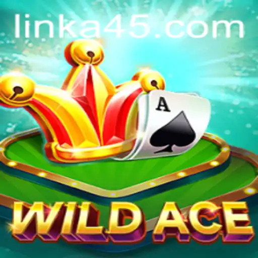 Unleashing the Thrills of WildAce: The Innovative A45 Experience